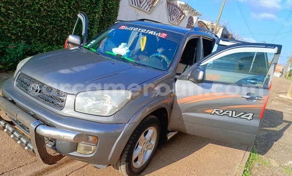 Buy Used Toyota RAV4 Silver Car in Yaounde in Central Cameroon Buy Used Toyota RAV4 Silver Car in Yaounde in Central Cameroon