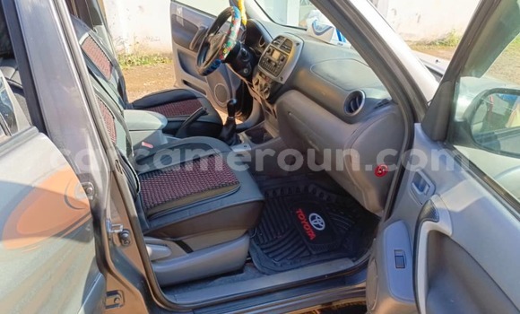 Buy Used Toyota RAV4 Silver Car in Yaounde in Central Cameroon Buy Used Toyota RAV4 Silver Car in Yaounde in Central Cameroon