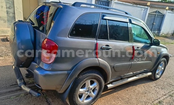 Buy Used Toyota RAV4 Silver Car in Yaounde in Central Cameroon Buy Used Toyota RAV4 Silver Car in Yaounde in Central Cameroon