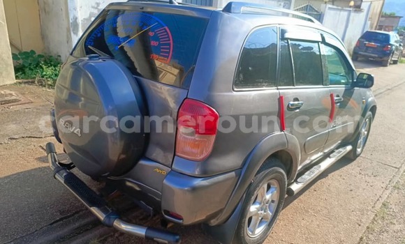 Buy Used Toyota RAV4 Silver Car in Yaounde in Central Cameroon Buy Used Toyota RAV4 Silver Car in Yaounde in Central Cameroon