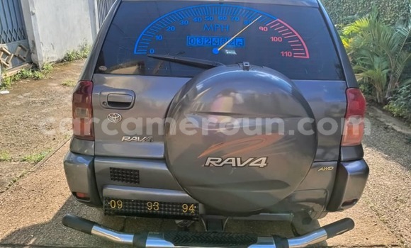 Buy Used Toyota RAV4 Silver Car in Yaounde in Central Cameroon Buy Used Toyota RAV4 Silver Car in Yaounde in Central Cameroon