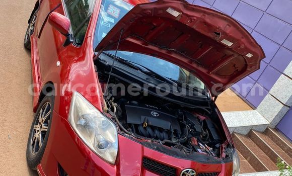 Buy Used Toyota Auris Red Car in Yaounde in Central Cameroon Buy Used Toyota Auris Red Car in Yaounde in Central Cameroon