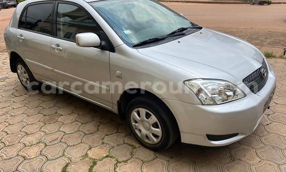 Buy Used Toyota Corolla Silver Car in Yaounde in Central Cameroon