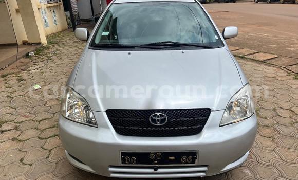 Acheter Occasion Voiture Toyota Corolla Gris à Yaoundé, Central Cameroon Acheter Occasion Voiture Toyota Corolla Gris à Yaoundé, Central Cameroon