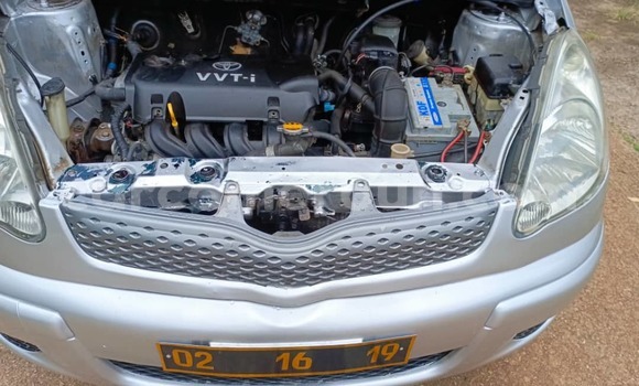 Buy Used Toyota Yaris Verso Silver Car in Yaounde in Central Cameroon Buy Used Toyota Yaris Verso Silver Car in Yaounde in Central Cameroon