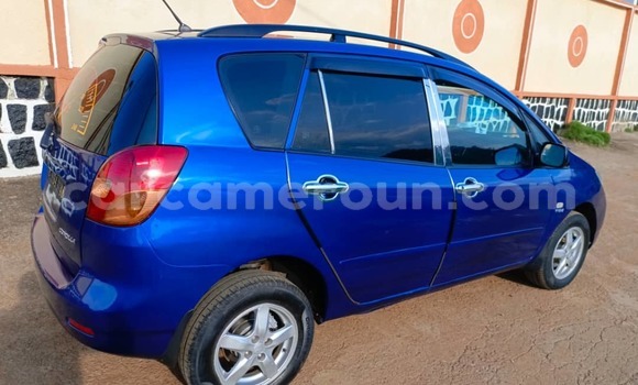 Buy Used Toyota Corolla Verso Blue Car in Yaounde in Central Cameroon Buy Used Toyota Corolla Verso Blue Car in Yaounde in Central Cameroon