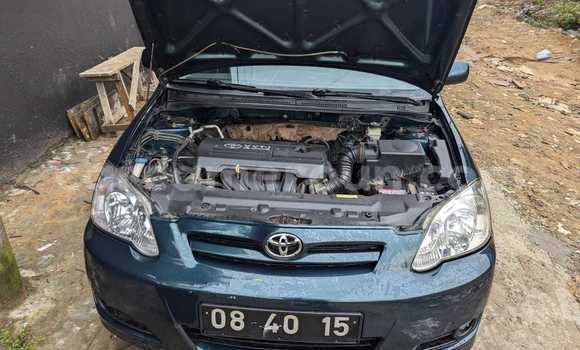 Buy Used Toyota Corolla Green Car in Douala in Littoral Cameroon Buy Used Toyota Corolla Green Car in Douala in Littoral Cameroon