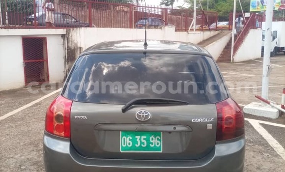 Sayi Na hannu Toyota Corolla Azurfa Mota in Yaounde a Babban Kamaru