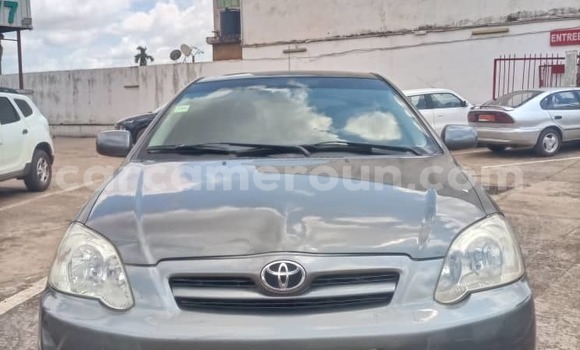 Buy Used Toyota Corolla Silver Car in Yaounde in Central Cameroon Buy Used Toyota Corolla Silver Car in Yaounde in Central Cameroon