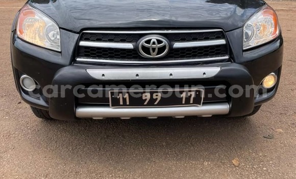 Buy Used Toyota RAV4 Black Car in Yaounde in Central Cameroon Buy Used Toyota RAV4 Black Car in Yaounde in Central Cameroon