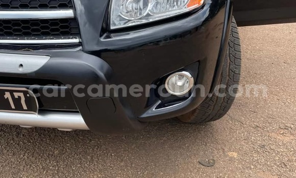Buy Used Toyota RAV4 Black Car in Yaounde in Central Cameroon Buy Used Toyota RAV4 Black Car in Yaounde in Central Cameroon