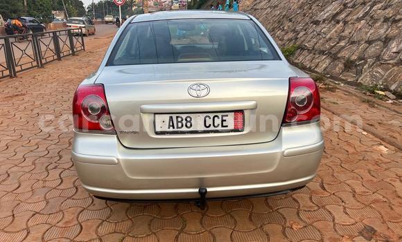 Buy Used Toyota Avensis Silver Car in Yaounde in Central Cameroon Buy Used Toyota Avensis Silver Car in Yaounde in Central Cameroon