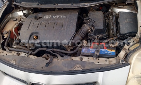 Sayi Sabo Toyota Auris Azurfa Mota in Douala a Ƙasar Kamaru Sayi Sabo Toyota Auris Azurfa Mota in Douala a Ƙasar Kamaru