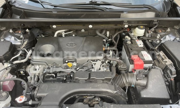 Acheter Neuf Voiture Toyota RAV4 Autre à Douala, Littoral Cameroon Acheter Neuf Voiture Toyota RAV4 Autre à Douala, Littoral Cameroon