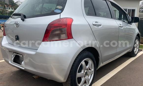 Buy Used Toyota Vitz Silver Car in Yaounde in Central Cameroon Buy Used Toyota Vitz Silver Car in Yaounde in Central Cameroon