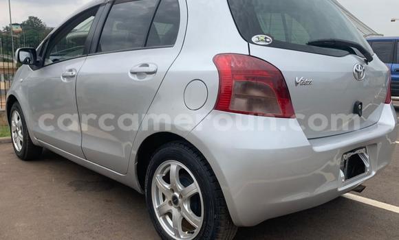 Buy Used Toyota Vitz Silver Car in Yaounde in Central Cameroon Buy Used Toyota Vitz Silver Car in Yaounde in Central Cameroon