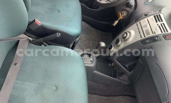 Buy Used Toyota Vitz Silver Car in Yaounde in Central Cameroon Buy Used Toyota Vitz Silver Car in Yaounde in Central Cameroon