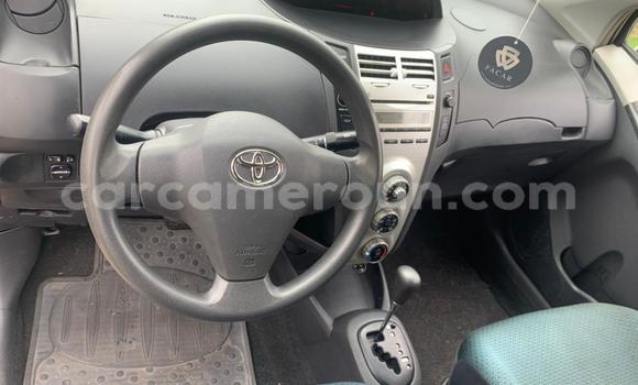 Buy Used Toyota Vitz Silver Car in Yaounde in Central Cameroon Buy Used Toyota Vitz Silver Car in Yaounde in Central Cameroon