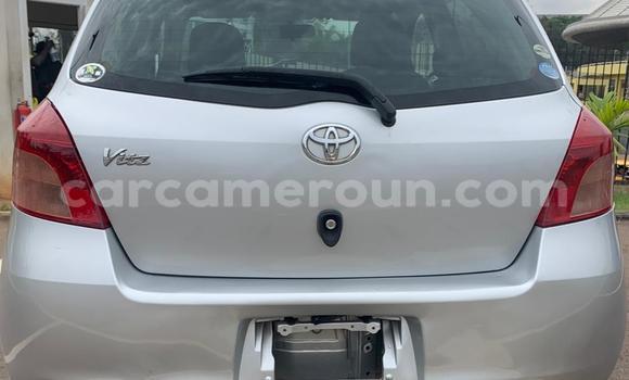 Buy Used Toyota Vitz Silver Car in Yaounde in Central Cameroon Buy Used Toyota Vitz Silver Car in Yaounde in Central Cameroon