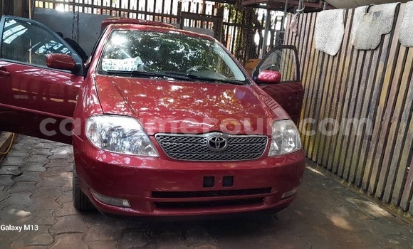 Sayi Sabo Toyota Corolla Sauran Mota in Yaounde a Babban Kamaru