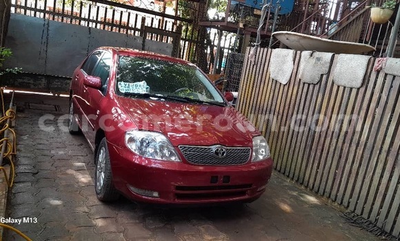 Sayi Sabo Toyota Corolla Sauran Mota in Yaounde a Babban Kamaru Sayi Sabo Toyota Corolla Sauran Mota in Yaounde a Babban Kamaru