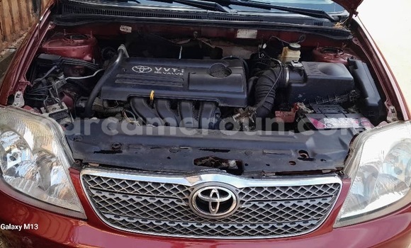 Sayi Sabo Toyota Corolla Sauran Mota in Yaounde a Babban Kamaru Sayi Sabo Toyota Corolla Sauran Mota in Yaounde a Babban Kamaru