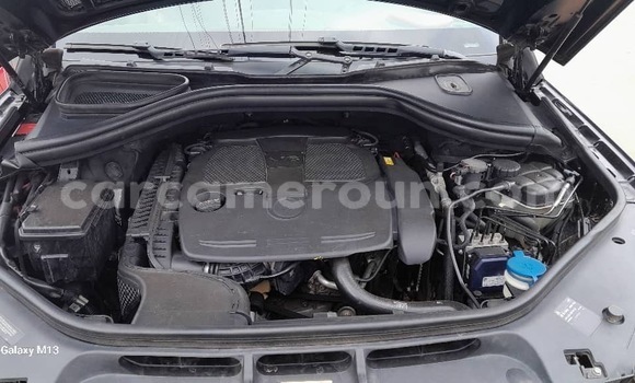Buy New Mercedes‒Benz ML–Class Black Car in Yaounde in Central Cameroon Buy New Mercedes‒Benz ML–Class Black Car in Yaounde in Central Cameroon