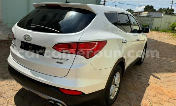 Buy Used Hyundai Santa Fe White Car in Yaounde in Central Cameroon Buy Used Hyundai Santa Fe White Car in Yaounde in Central Cameroon