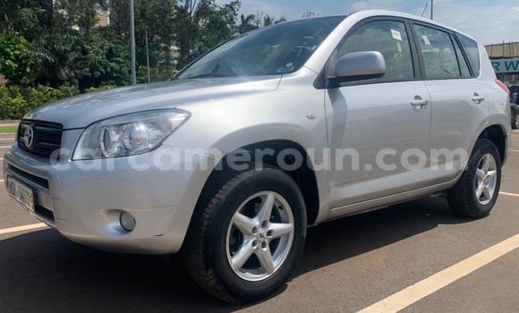 Buy Used Toyota RAV4 Silver Car in Yaounde in Central Cameroon Buy Used Toyota RAV4 Silver Car in Yaounde in Central Cameroon
