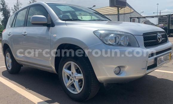 Buy Used Toyota RAV4 Silver Car in Yaounde in Central Cameroon Buy Used Toyota RAV4 Silver Car in Yaounde in Central Cameroon