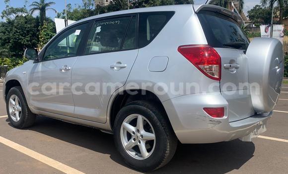 Buy Used Toyota RAV4 Silver Car in Yaounde in Central Cameroon Buy Used Toyota RAV4 Silver Car in Yaounde in Central Cameroon