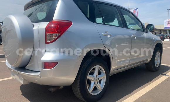 Buy Used Toyota RAV4 Silver Car in Yaounde in Central Cameroon Buy Used Toyota RAV4 Silver Car in Yaounde in Central Cameroon