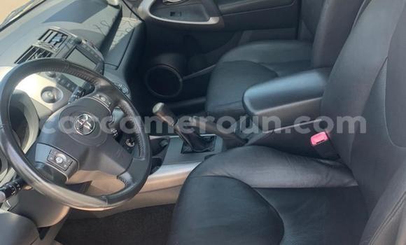 Buy Used Toyota RAV4 Silver Car in Yaounde in Central Cameroon Buy Used Toyota RAV4 Silver Car in Yaounde in Central Cameroon