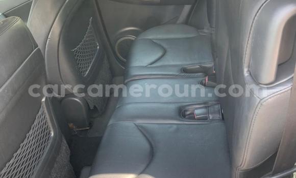 Buy Used Toyota RAV4 Silver Car in Yaounde in Central Cameroon Buy Used Toyota RAV4 Silver Car in Yaounde in Central Cameroon