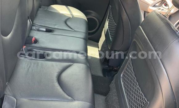Buy Used Toyota RAV4 Silver Car in Yaounde in Central Cameroon Buy Used Toyota RAV4 Silver Car in Yaounde in Central Cameroon
