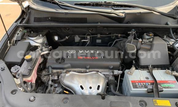 Buy Used Toyota RAV4 Silver Car in Yaounde in Central Cameroon Buy Used Toyota RAV4 Silver Car in Yaounde in Central Cameroon