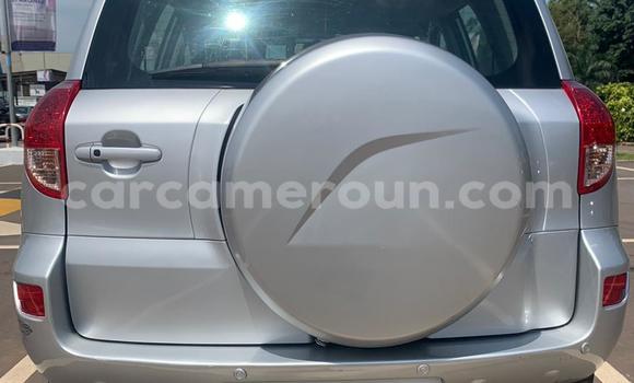 Buy Used Toyota RAV4 Silver Car in Yaounde in Central Cameroon Buy Used Toyota RAV4 Silver Car in Yaounde in Central Cameroon