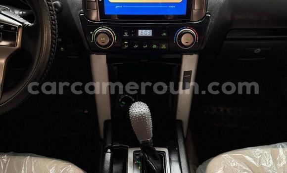 Buy Used Toyota Land Cruiser Prado Black Car in Yaounde in Central Cameroon Buy Used Toyota Land Cruiser Prado Black Car in Yaounde in Central Cameroon