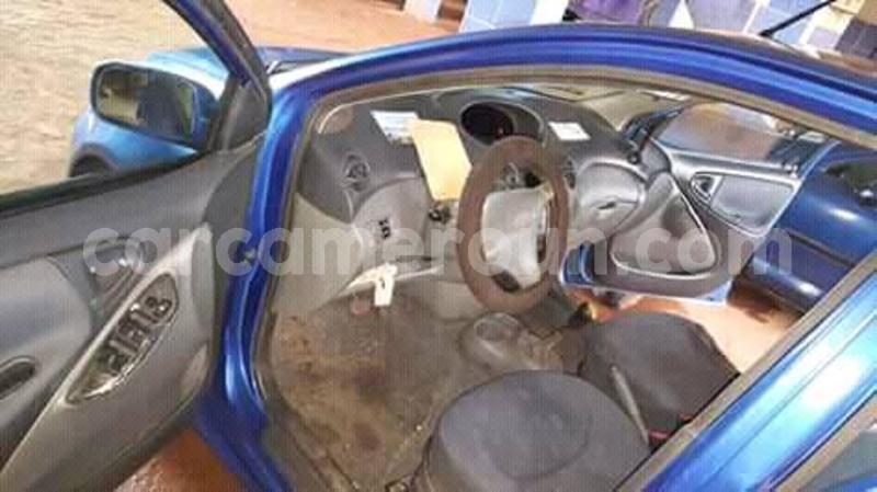 Big with watermark 38923534 154649655422218 3970977314199568384 n