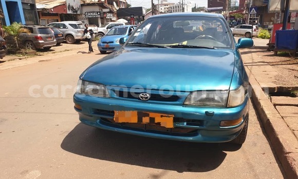 Buy Used Toyota Corolla Green Car in Yaounde in Central Cameroon Buy Used Toyota Corolla Green Car in Yaounde in Central Cameroon