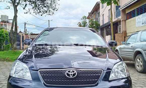 Acheter Occasion Voiture Toyota Corolla Bleu à Douala, Littoral Cameroon