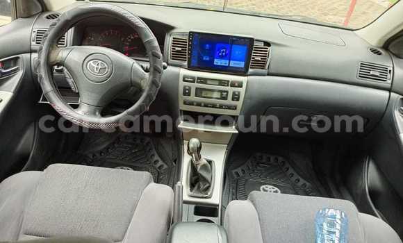 Acheter Occasion Voiture Toyota Corolla Bleu à Douala, Littoral Cameroon Acheter Occasion Voiture Toyota Corolla Bleu à Douala, Littoral Cameroon