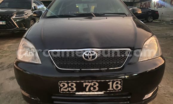 Sayi Na hannu Toyota Runx Black Mota in Douala a Ƙasar Kamaru Sayi Na hannu Toyota Runx Black Mota in Douala a Ƙasar Kamaru