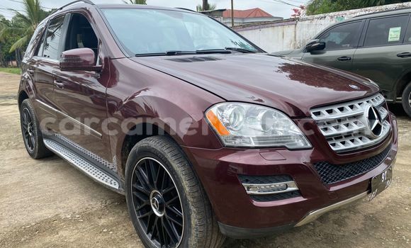 Sayi Imported Mercedes‒Benz ML–Class Sauran Mota in Douala a Ƙasar Kamaru