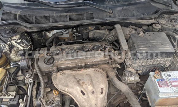 Buy Used Toyota Camry Red Car in Douala in Littoral Cameroon Buy Used Toyota Camry Red Car in Douala in Littoral Cameroon