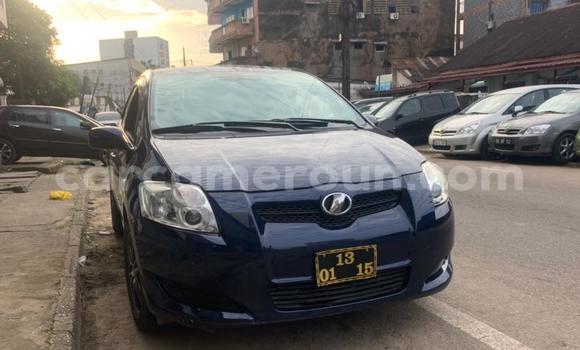Buy Import Toyota Auris Blue Car in Douala in Littoral Cameroon Buy Import Toyota Auris Blue Car in Douala in Littoral Cameroon