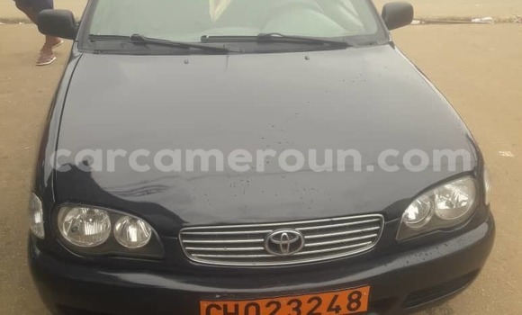 Sayi Na hannu Toyota Corolla Black Mota in Douala a Ƙasar Kamaru