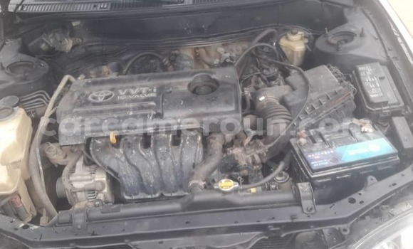 Acheter Occasion Voiture Toyota Corolla Noir à Douala, Littoral Cameroon Acheter Occasion Voiture Toyota Corolla Noir à Douala, Littoral Cameroon