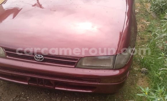 Buy Used Toyota Corolla Red Car in Douala in Littoral Cameroon