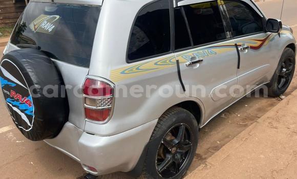 Buy Used Toyota RAV4 Silver Car in Yaounde in Central Cameroon Buy Used Toyota RAV4 Silver Car in Yaounde in Central Cameroon